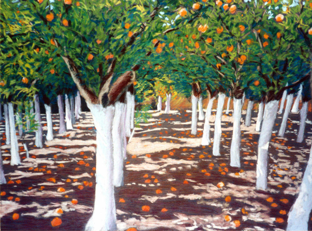 Orange Grove, Chios (Pastel 50cm x 67cm)
