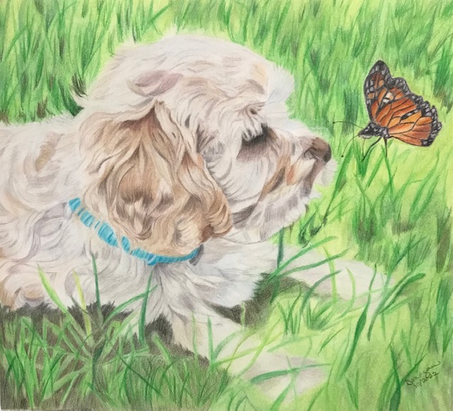 Tobi
8x8
Hot Press Watercolor