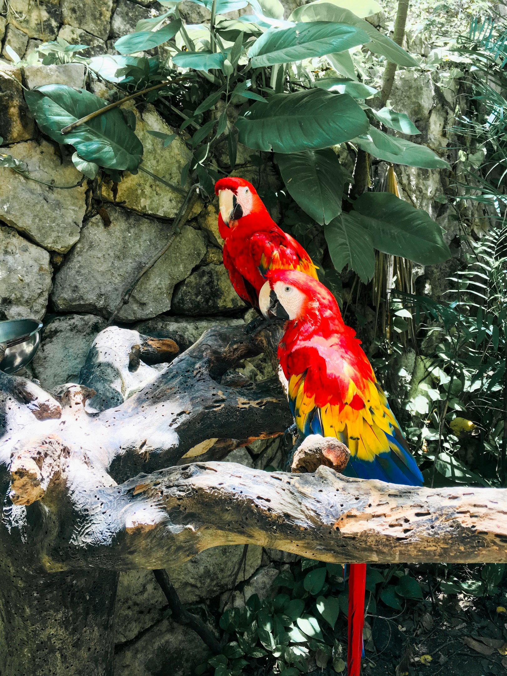 PARQUES XCARET