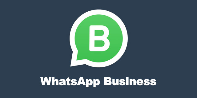 +5216313193700