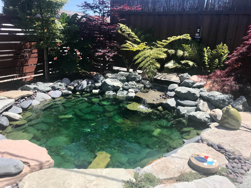 Wheelchair Accessible Koi Pond 1