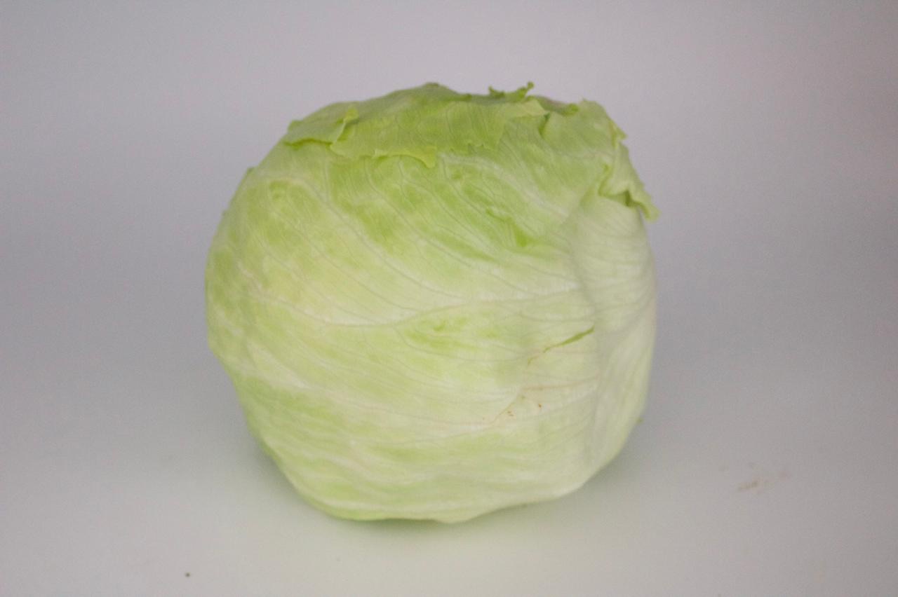 LECHUGA BOLA