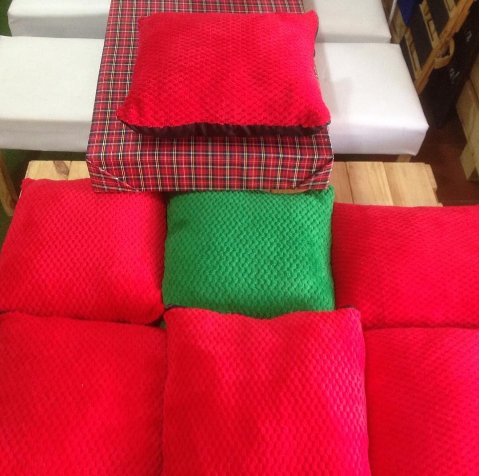 Cojines en tela felpudo
Color verde y rojo
44cm x 44cm
Alquiler $ 5.000
Precio Unitario