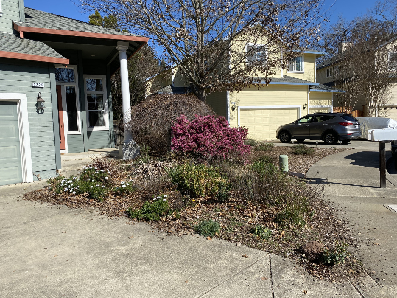 BEFORE - neglected front yard