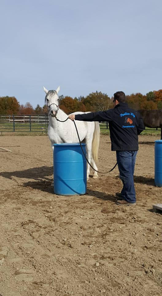 Playing at a Positive Way Play Day