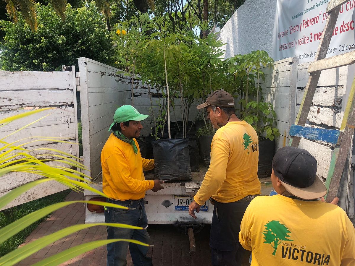 Hombres con camisetas amarillas descargando plantas de un camión en un área verde.