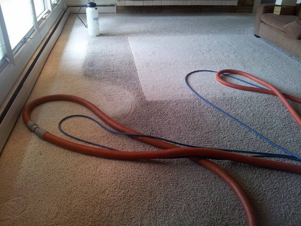 Carpet (Before) 4