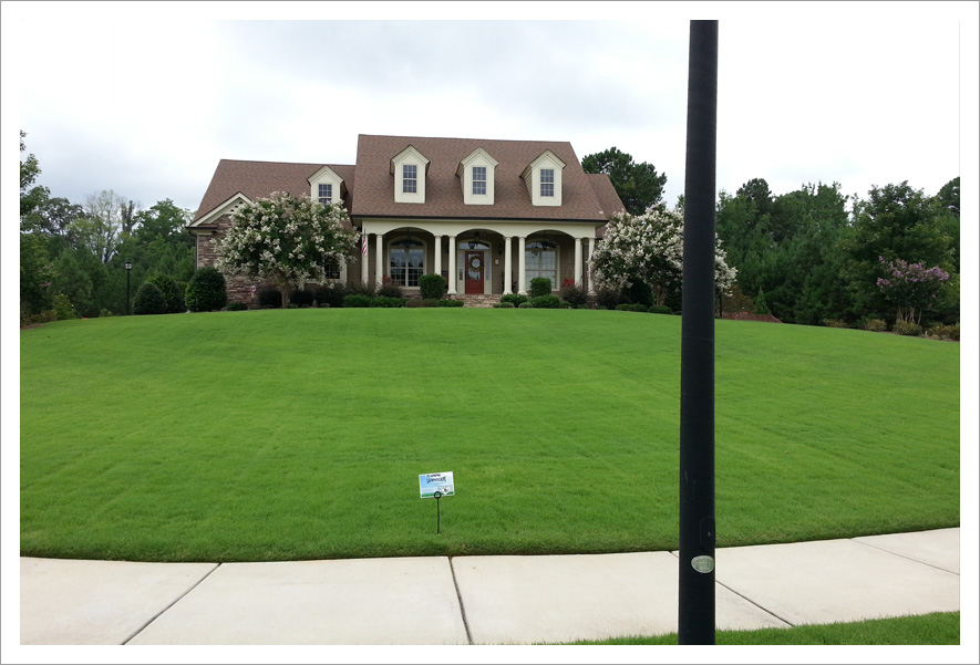 Bright green curved lawn pole||||