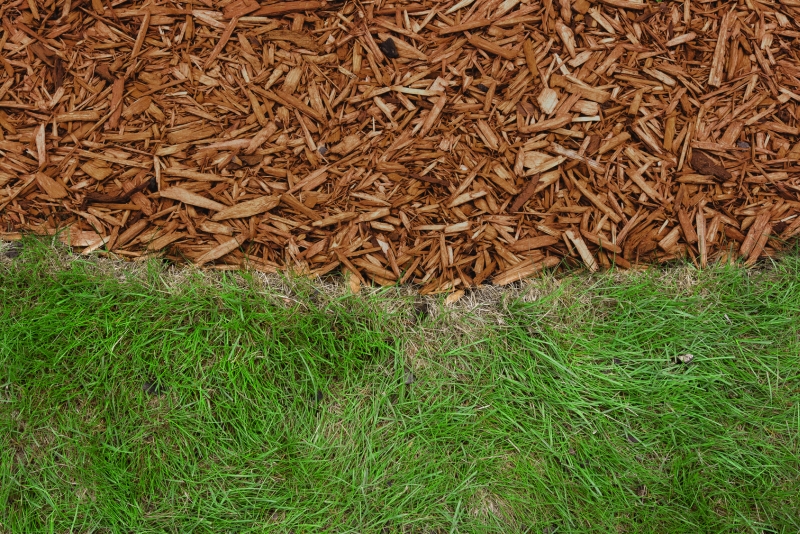 Brown mulch||||