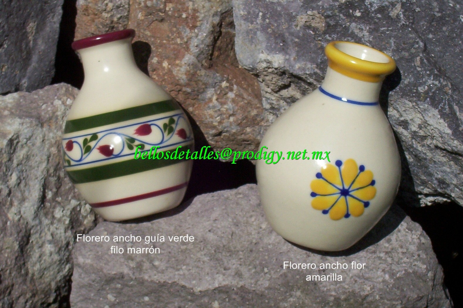 https://0201.nccdn.net/4_2/000/000/046/6ea/Florero-ancho-gu--a-verde-filo-marr--n-y-flor-amarilla-1579x1052.jpg