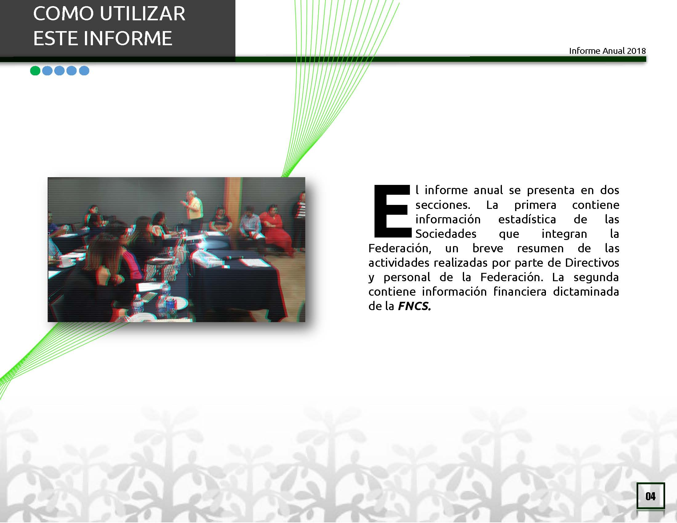https://0201.nccdn.net/4_2/000/000/046/6ea/Informe-Anual-2018_P--gina_04-2200x1700.jpg