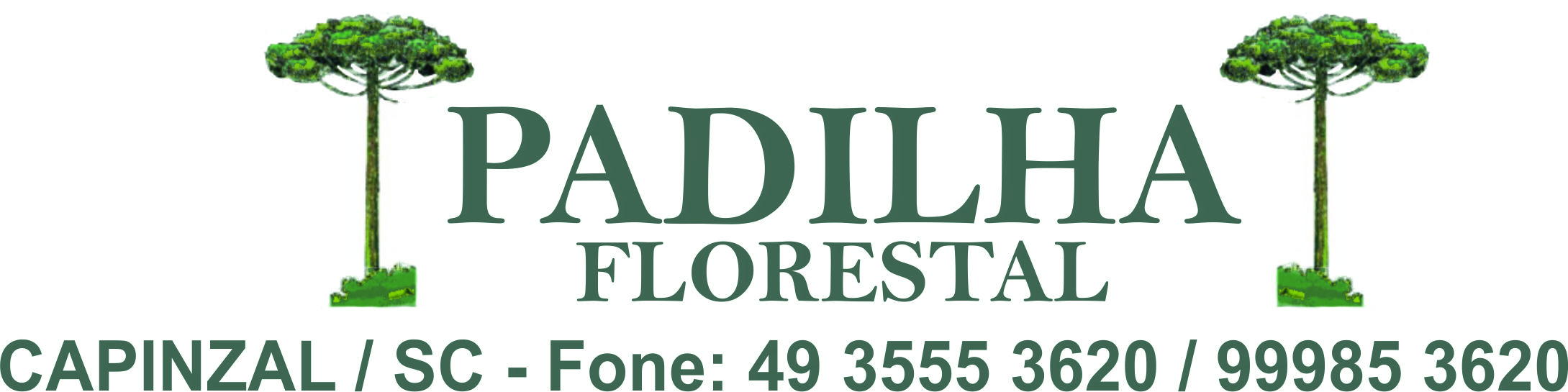 padilhaflorestal.com.br