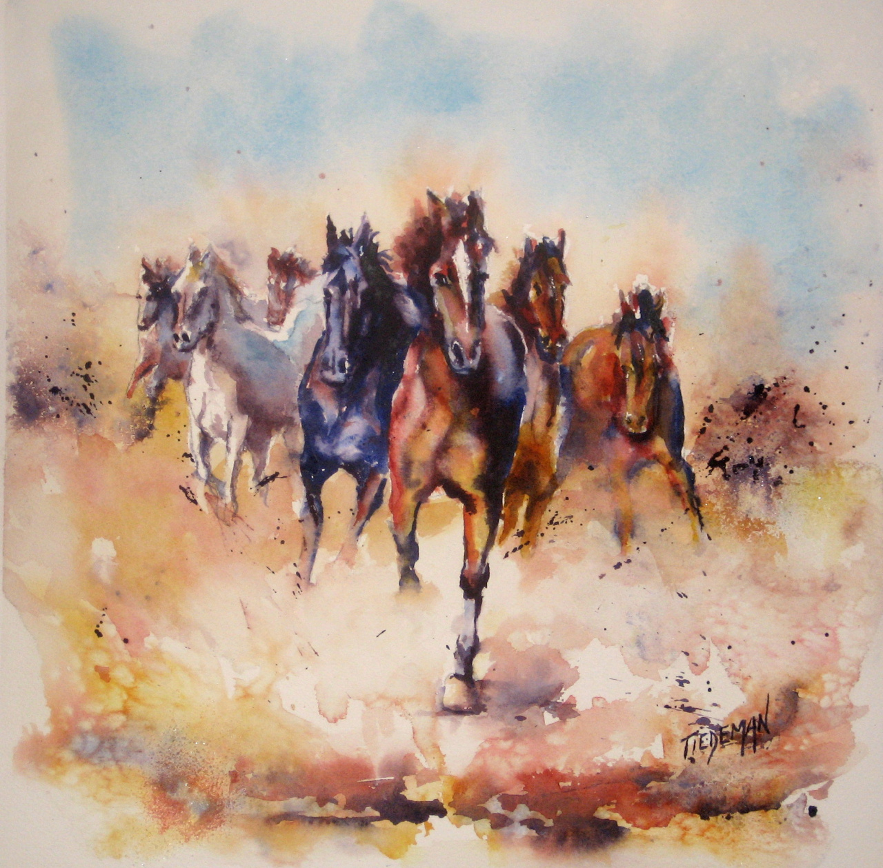 Watercolor Painting Art Studio Escondido Tiedeman Watercolors