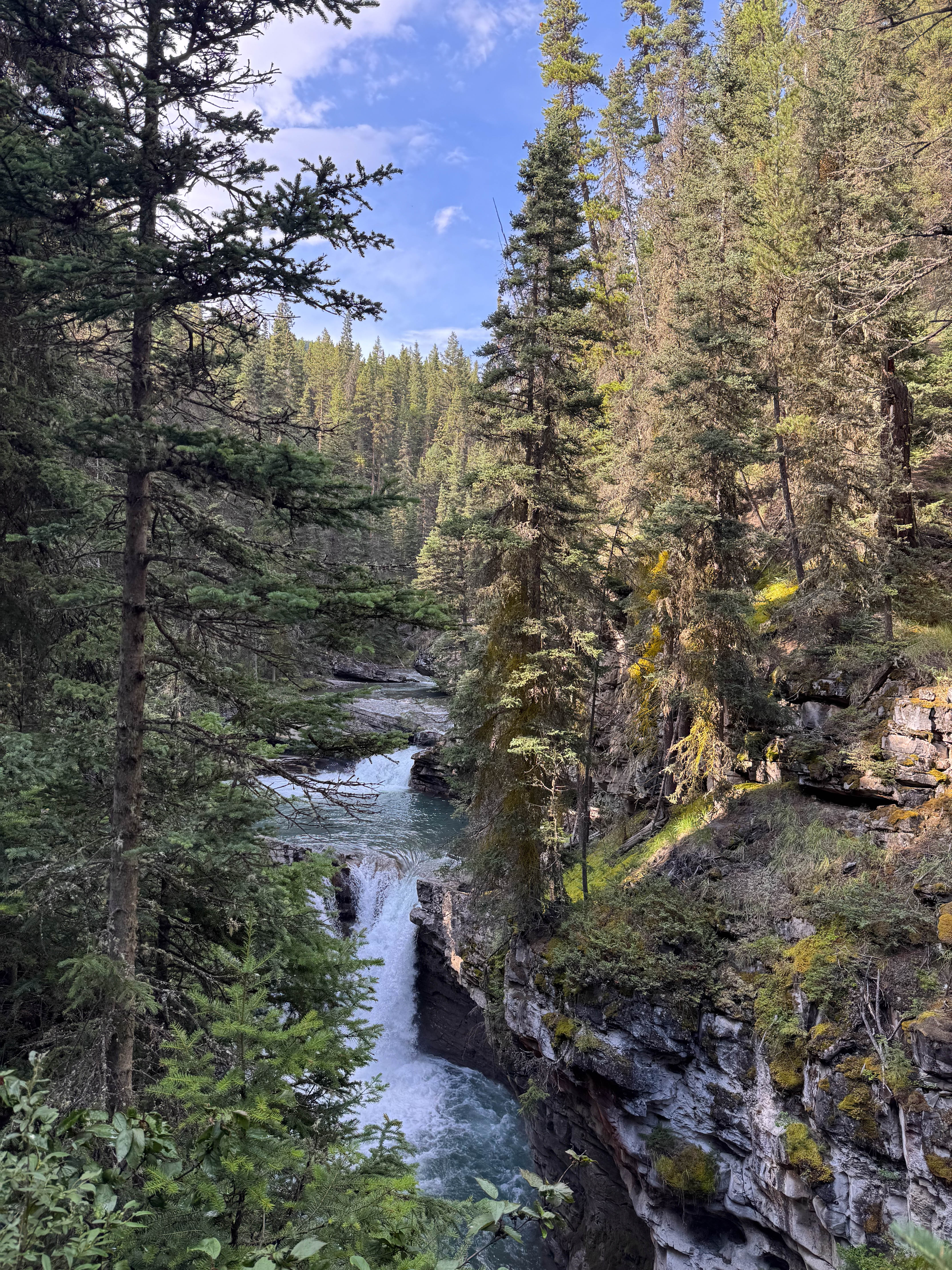 https://0201.nccdn.net/4_2/000/000/046/6ea/calgary-order-119.jpg