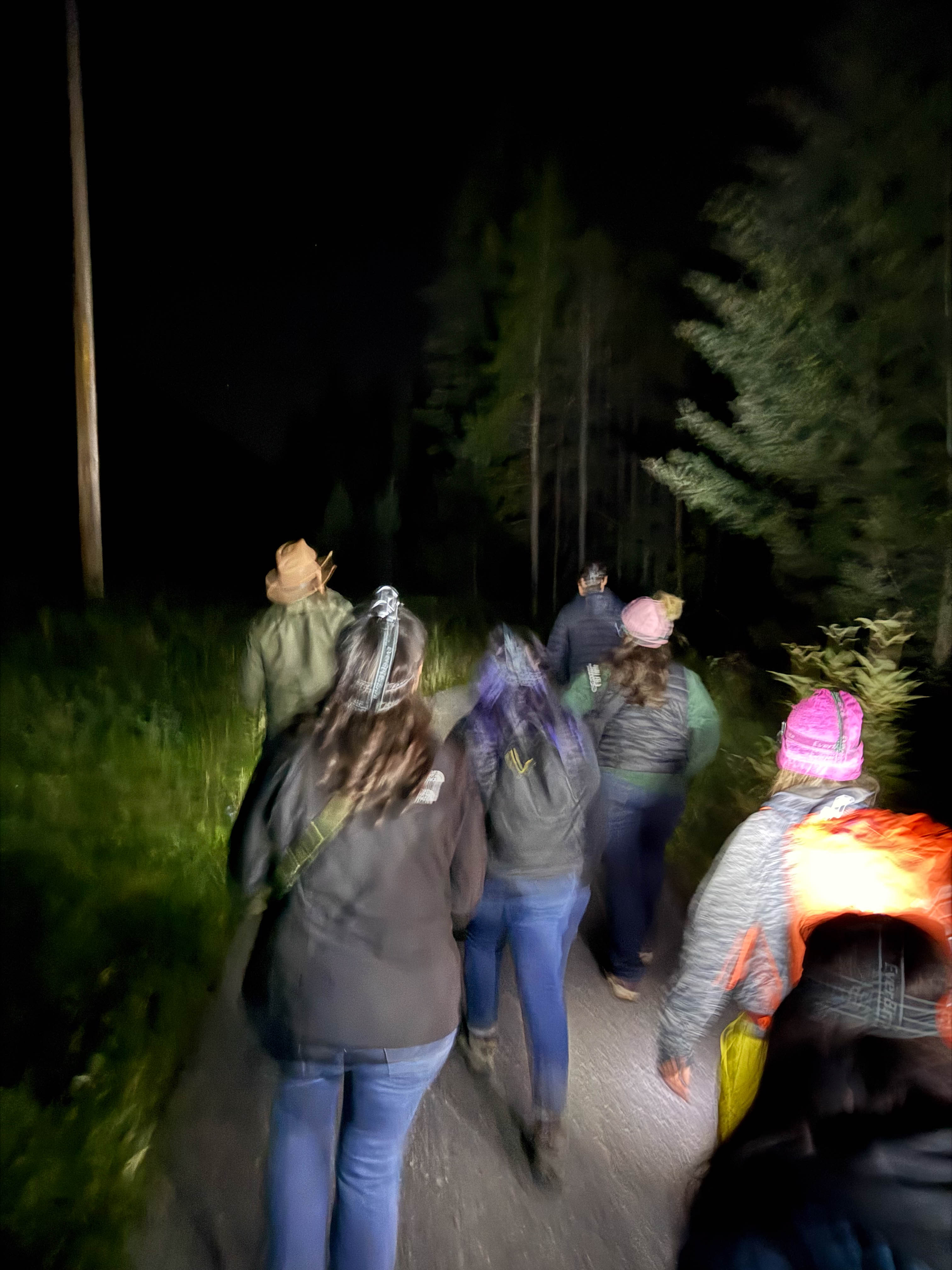 https://0201.nccdn.net/4_2/000/000/046/6ea/calgary-order-241.jpg