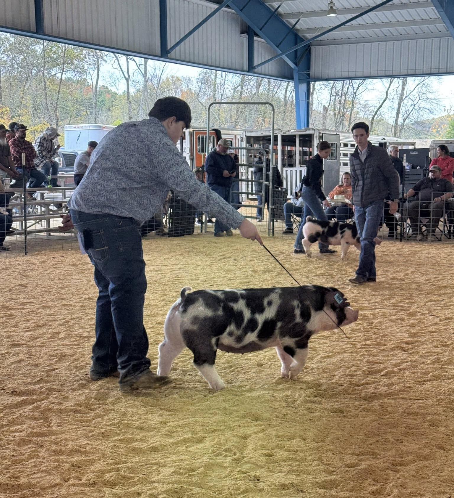 Carter Black
2025 Big Orange Fall Classic
Reserve Grand Champion Spot Gilt
5th overall Purebred Gilt
Champion TN bred Spot Gilt