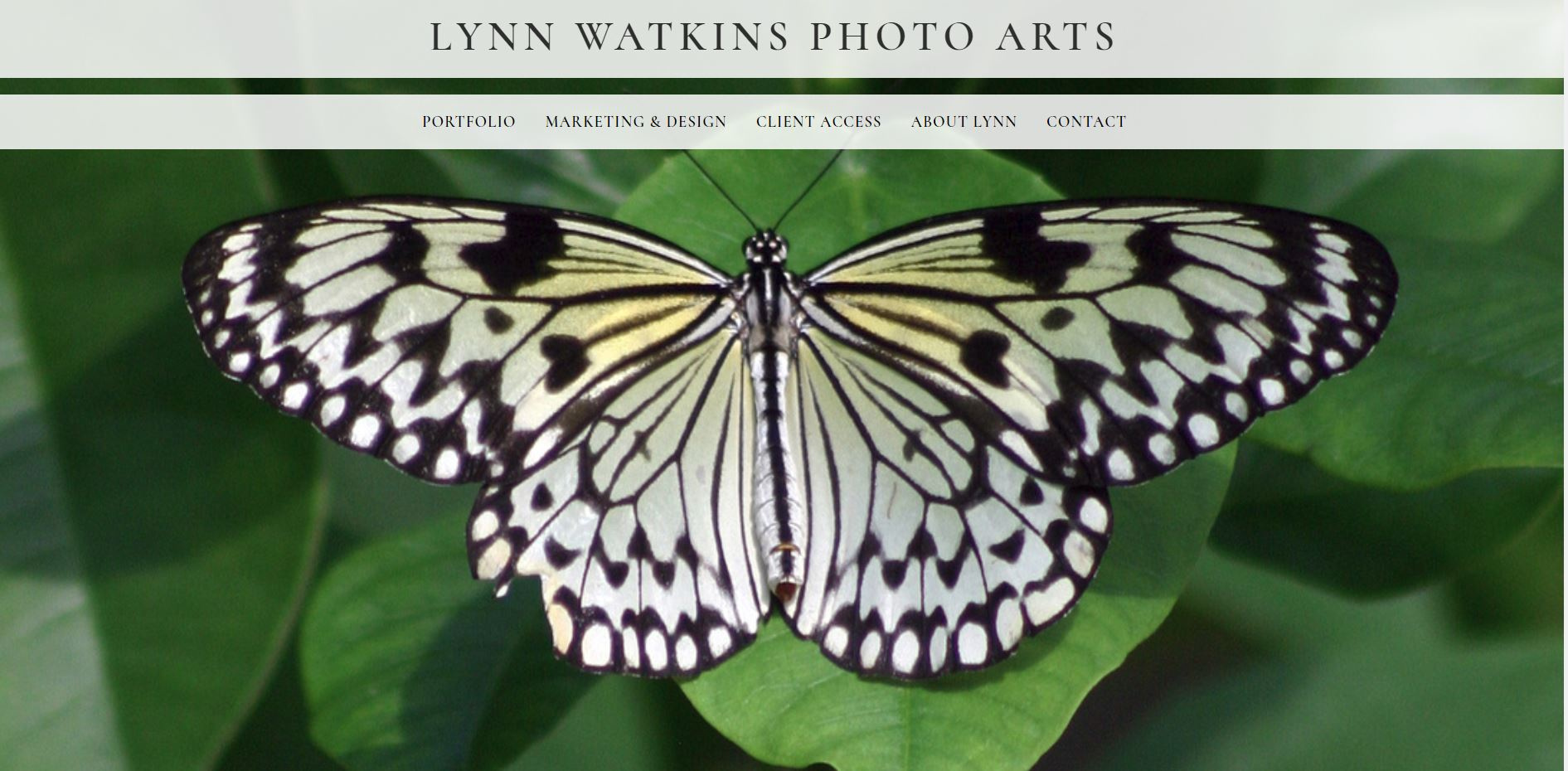 Lynn Watkins Photo Arts