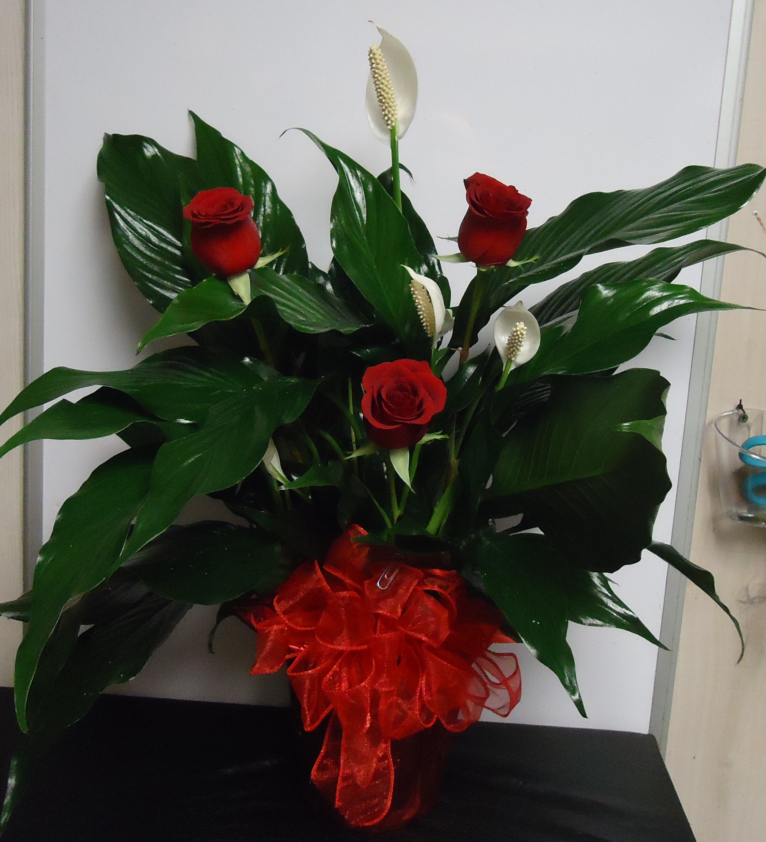 (3A) Peace Lily Plant
W/ Three Red Roses
$50.00
