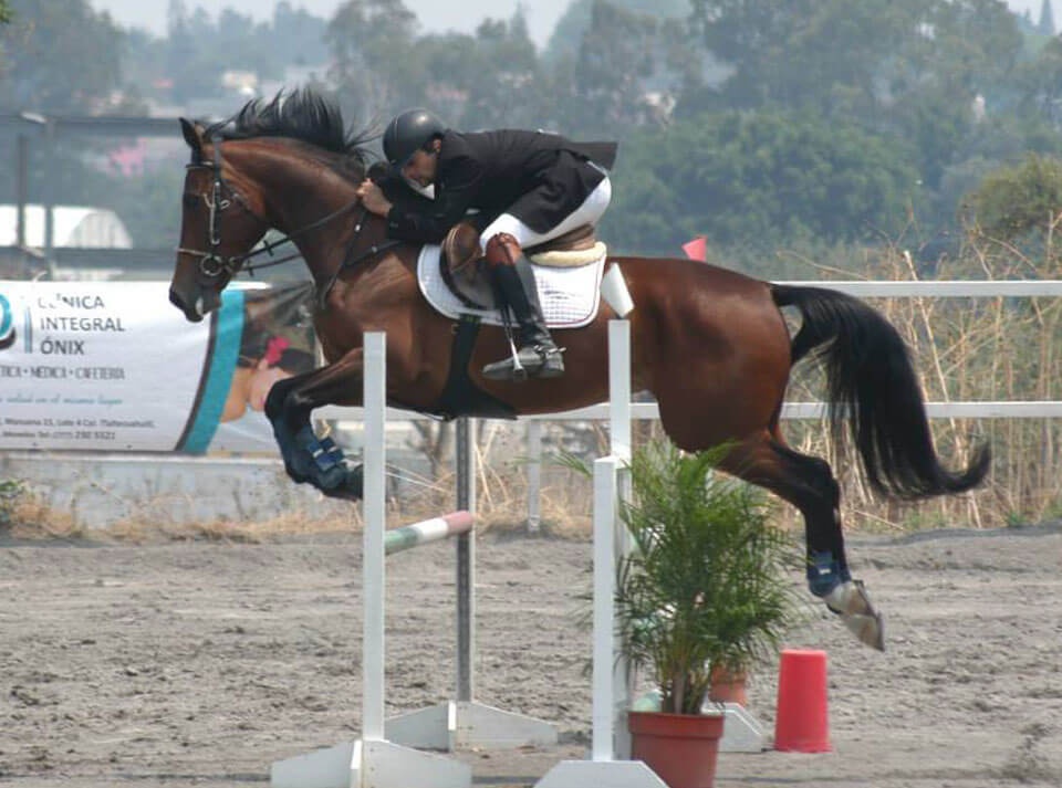 CENTRO HÍPICO MORELOS A.C. - MAS DE 41 AÑOS DE EXPERIENCIA