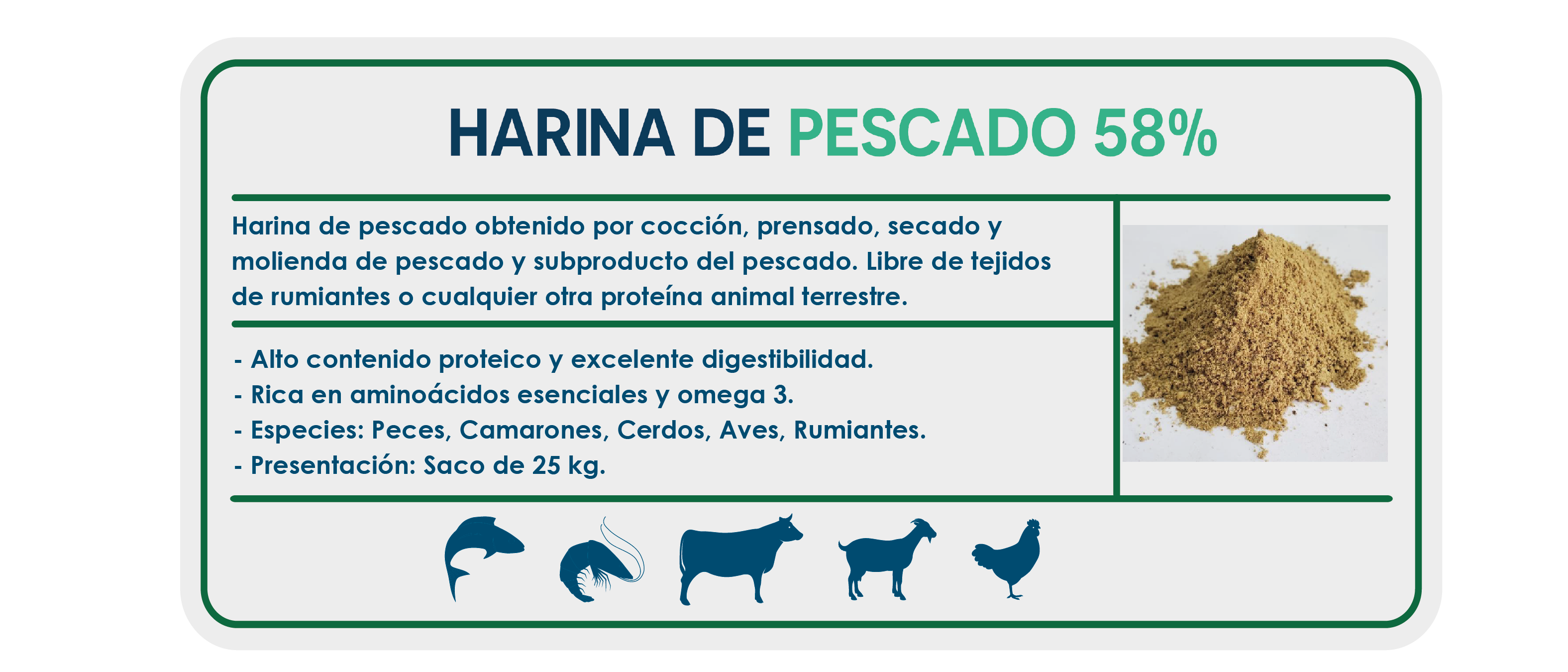 https://0201.nccdn.net/4_2/000/000/046/6ea/ficha_ecommerce-03.png