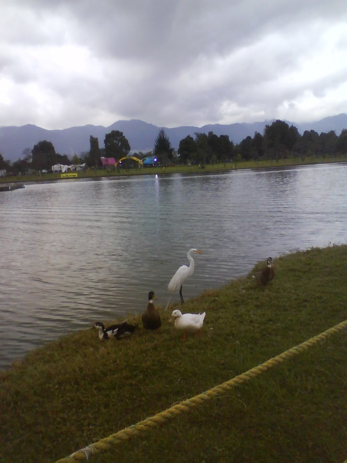 Snowy mountains landscape