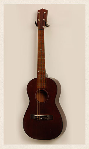 Dark Wood Acoustic Guitar