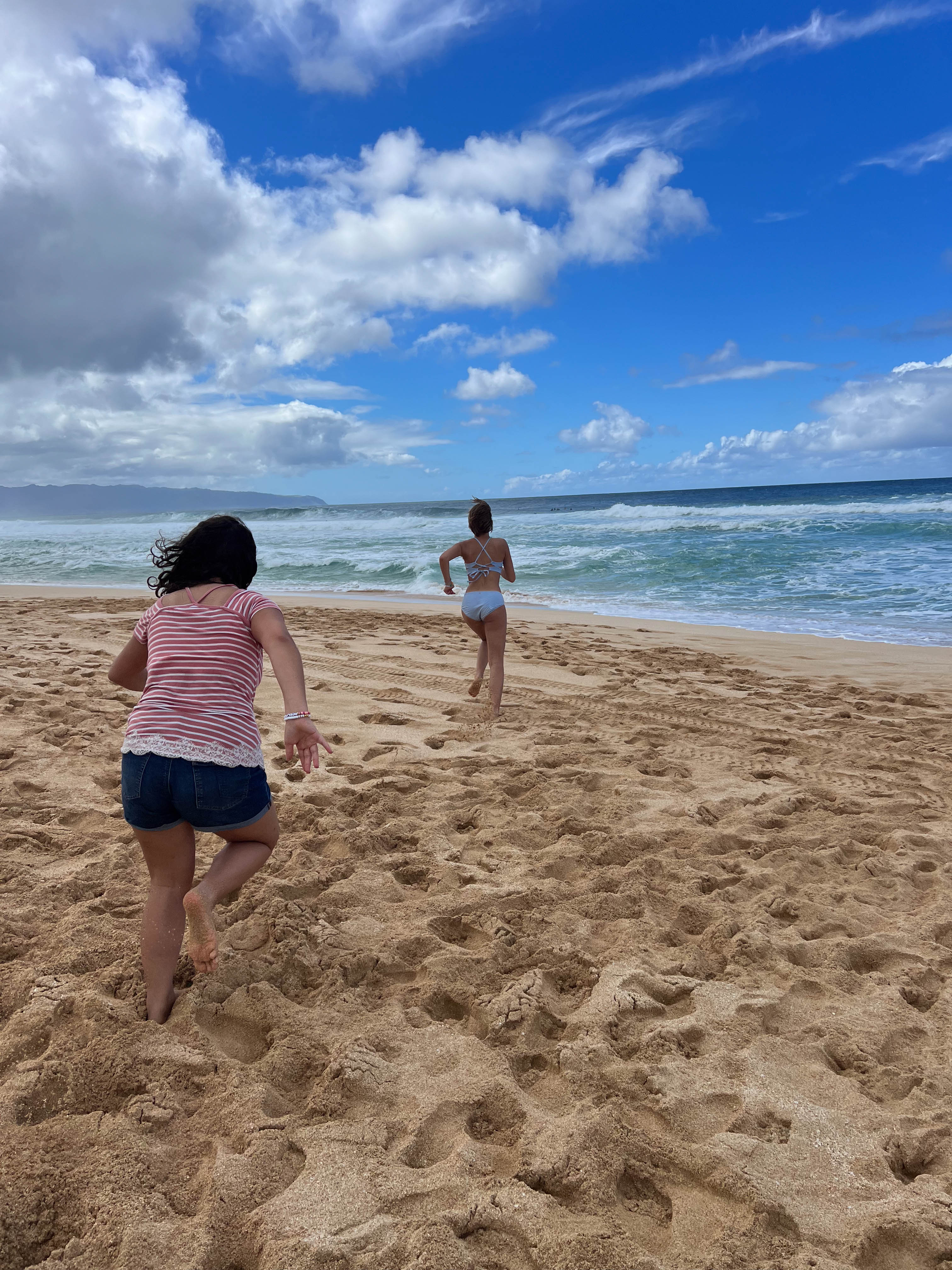 https://0201.nccdn.net/4_2/000/000/046/6ea/hawaii-order-55.jpg