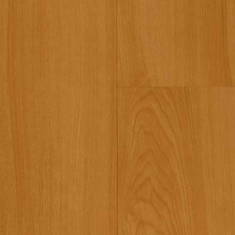 HAYA 
TSV2A-L1774-SA