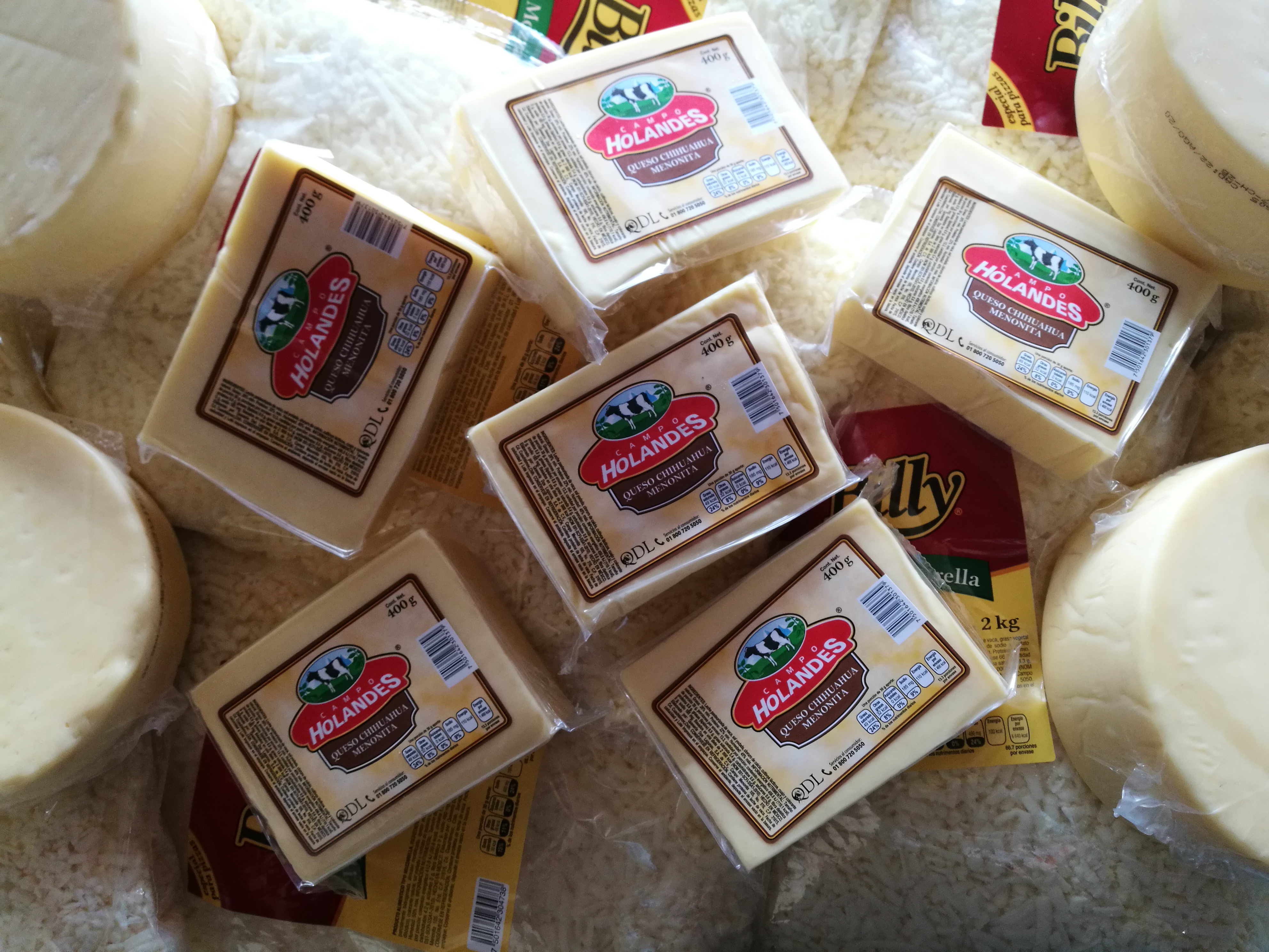 Queso Chihuahua de 400 grs.
$68.00 la pieza, precio mayoreo.
$80.00 la pieza, precio menudeo.