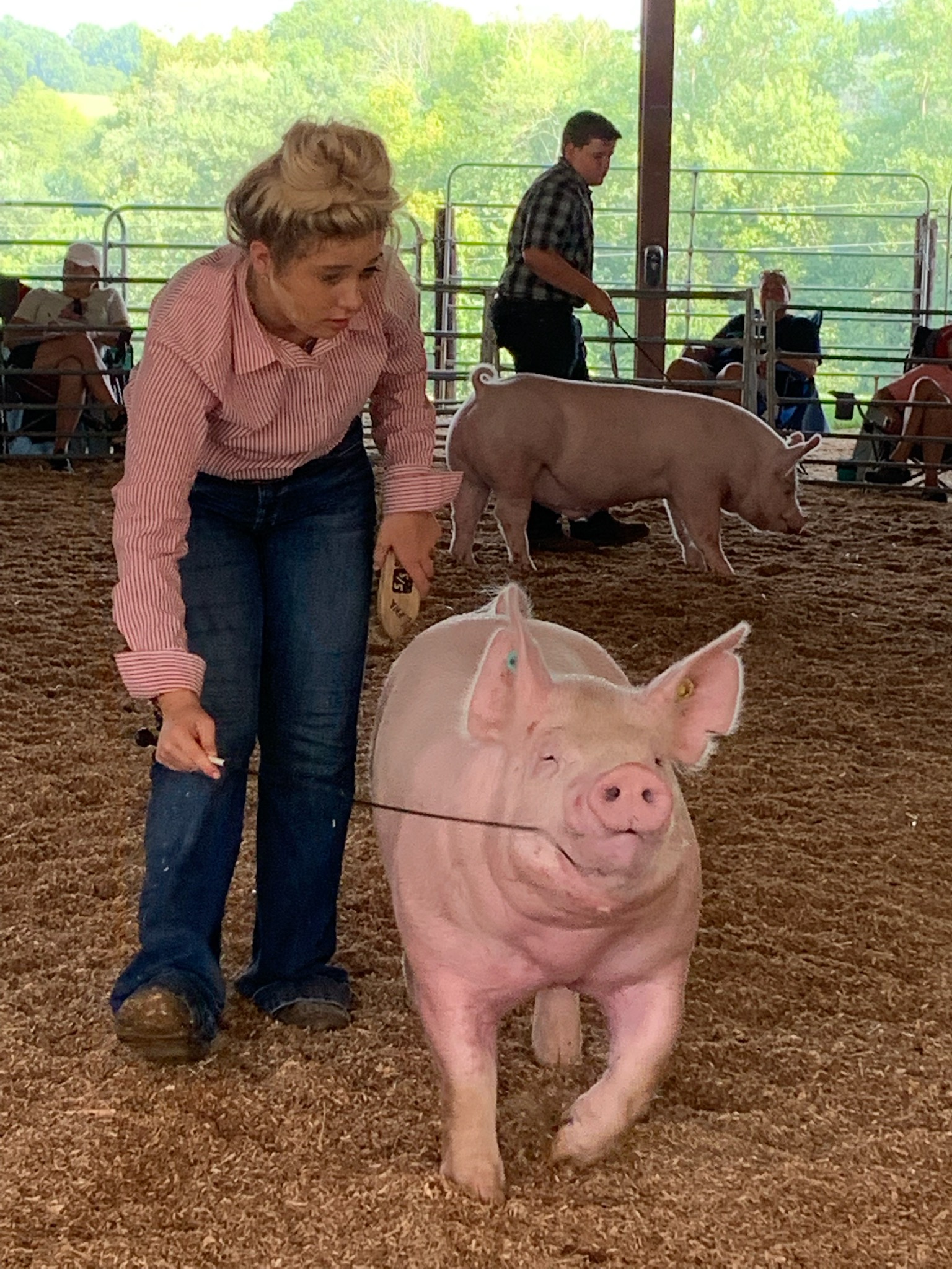 Lena Stricklen
Smith County Swine Shootout
Reserve Champion Yorkshire Barrow