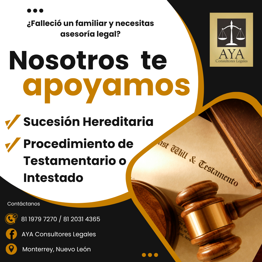 https://0201.nccdn.net/4_2/000/000/046/6ea/intestados-aya.png