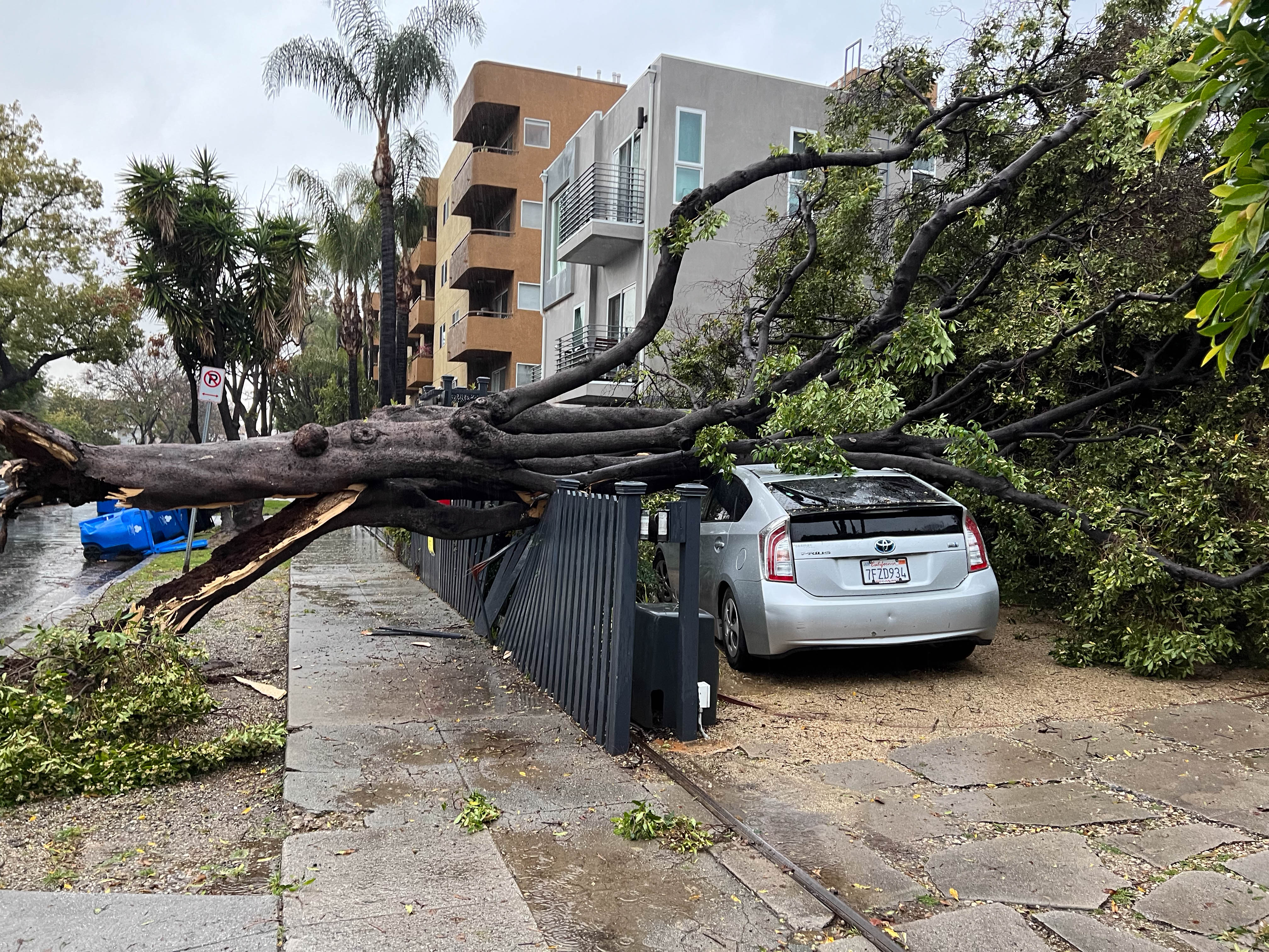 There were a lot of big storms while we were in LA