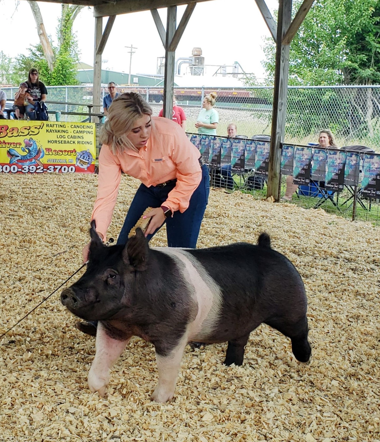 Lena Stricklen
Crawford County Summer Spectacular
Champion Crossbred Gilt
