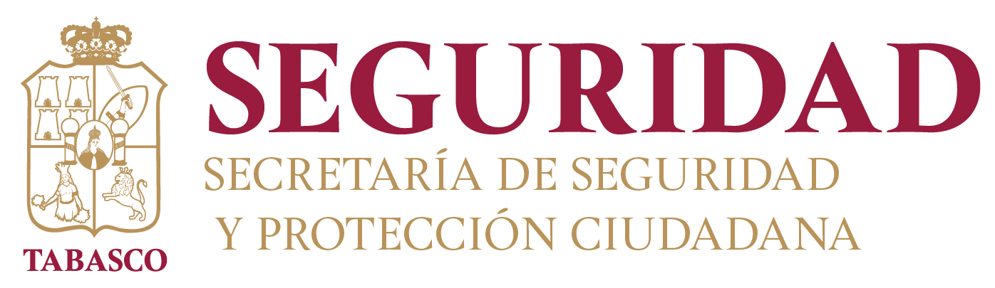 Autorización para prestar Servicios de Seguridad Privada a Nivel Estado: DESP/235/2023.
