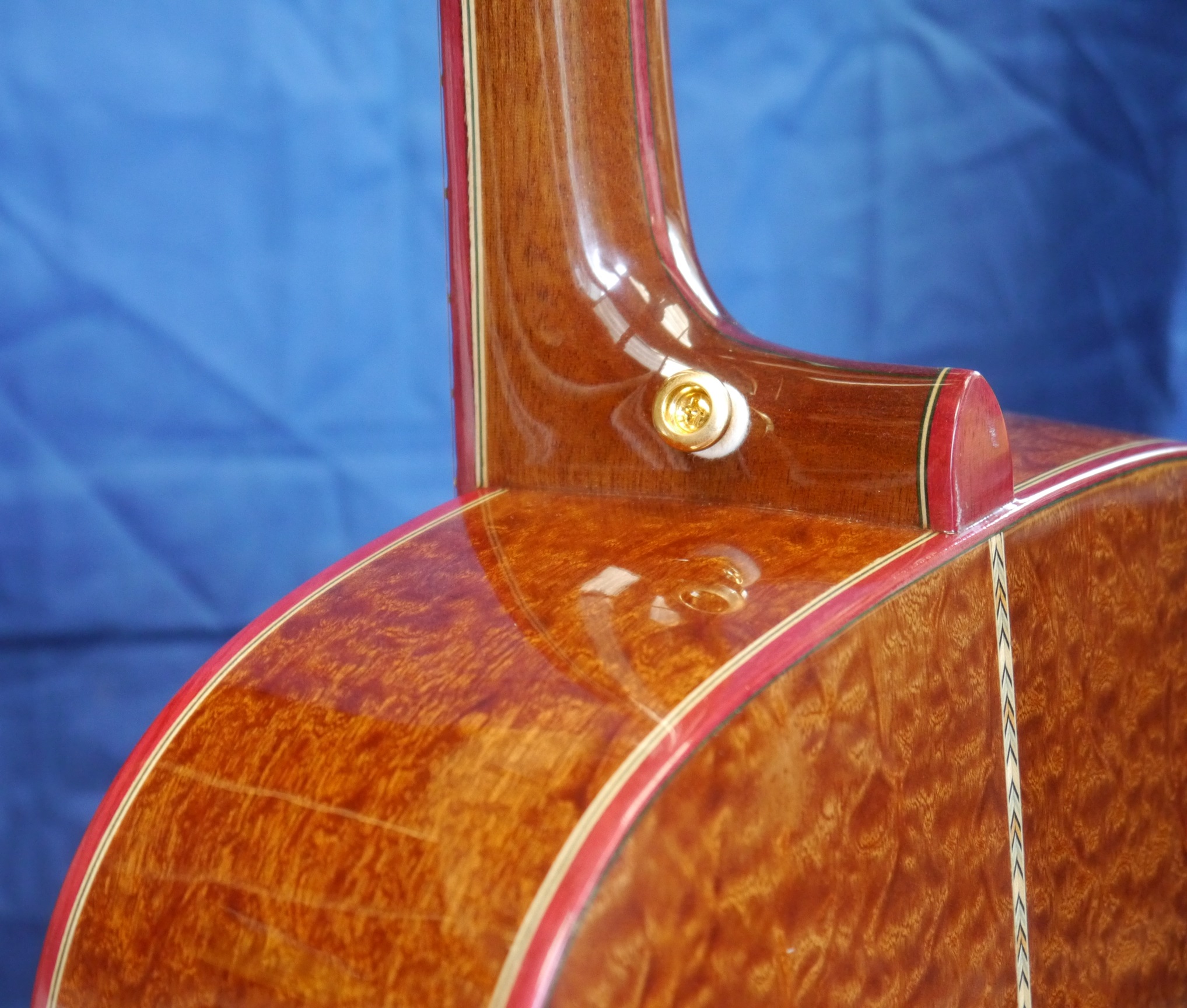 https://0201.nccdn.net/4_2/000/000/046/6ea/om-pomelo-sapele-purpleheart-binding-neck-join.jpg