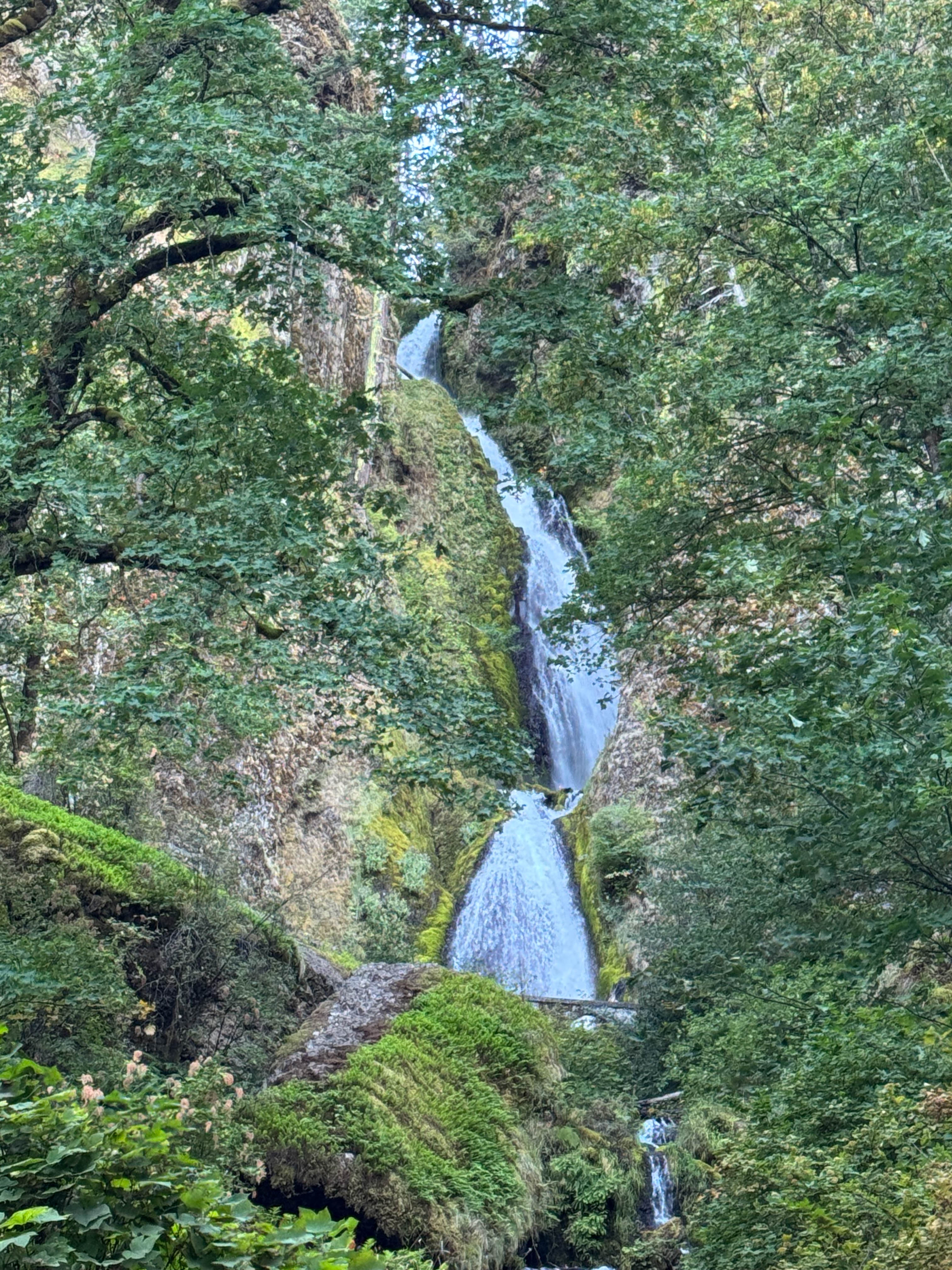 https://0201.nccdn.net/4_2/000/000/046/6ea/portland-order-14.jpg
