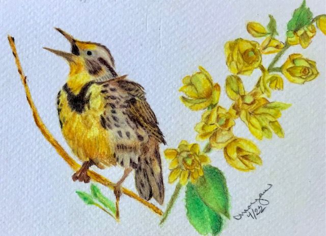 State Bird/Flower
OR:  Meadowlark/OR Grape
4X6 Coldpress Watercolor Paper