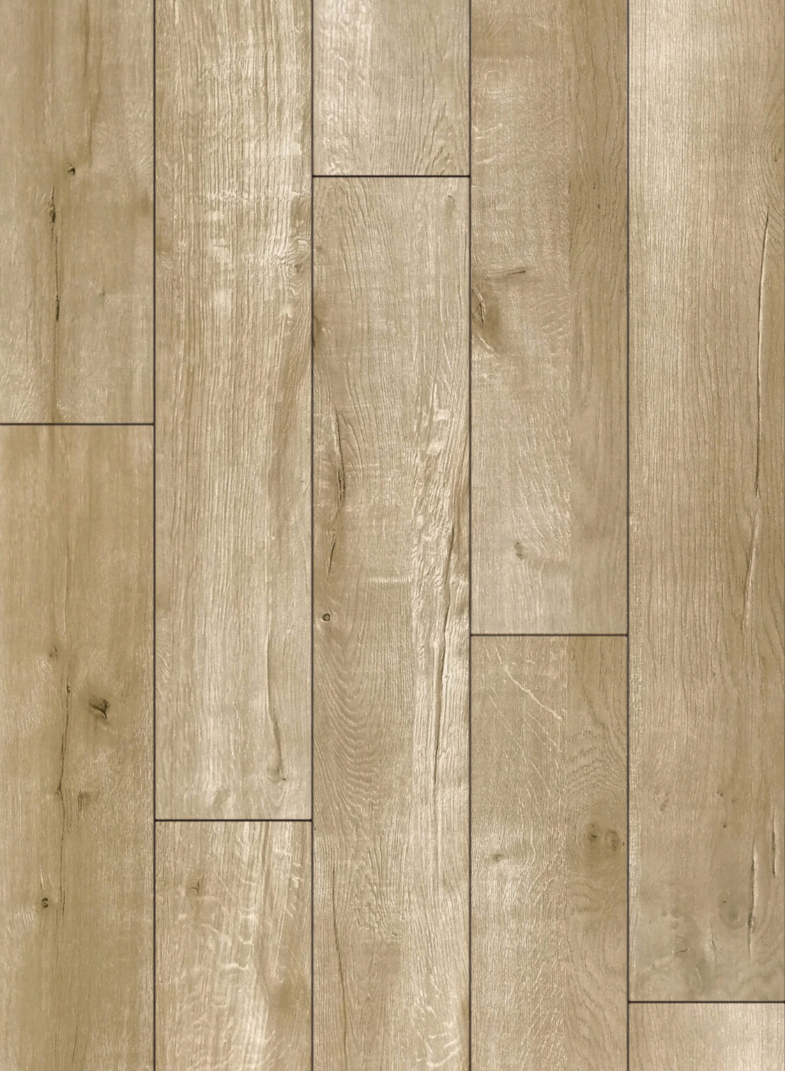 STERLING OAK
 TS-SPC4-1969