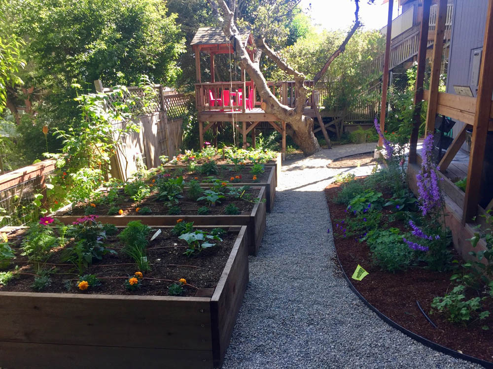 Veggie Garden and Potting Shed 1
