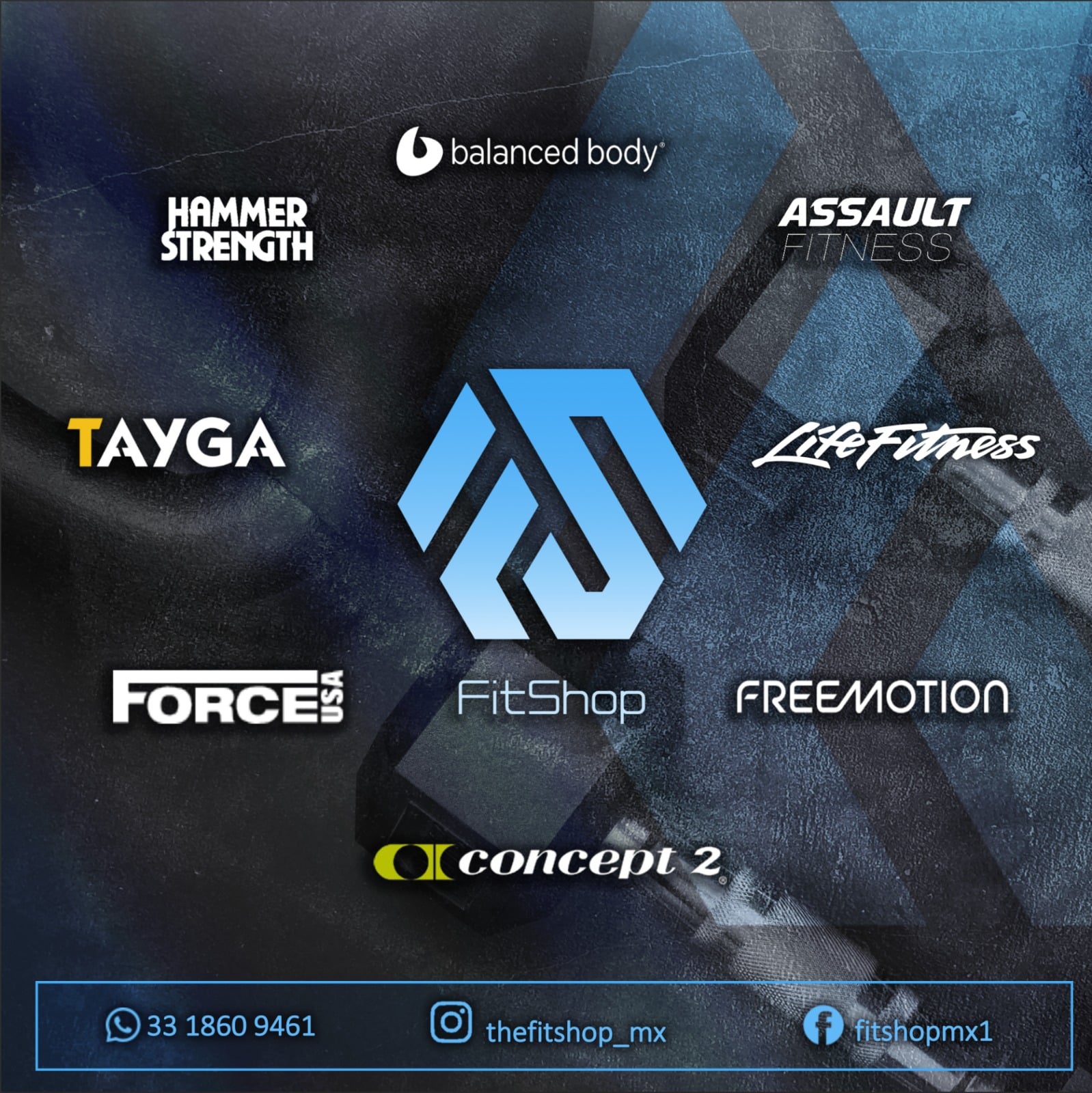 Logotipos de marcas de equipo fitness en FitShop México, incluyendo Life Fitness, Hammer Strength, Assault Fitness y Concept2 Logotipos de marcas de equipo fitness en FitShop México, incluyendo Life Fitness, Hammer Strength, Assault Fitness y Concept2
