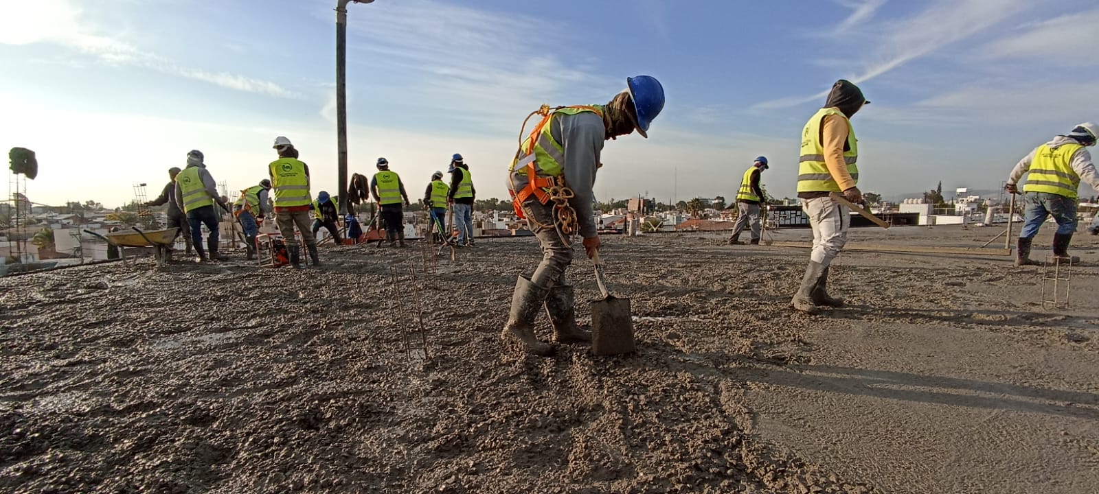 Stylish interior with a large bookcase