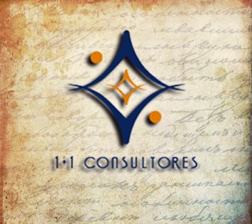 1+1 CONSULTORES