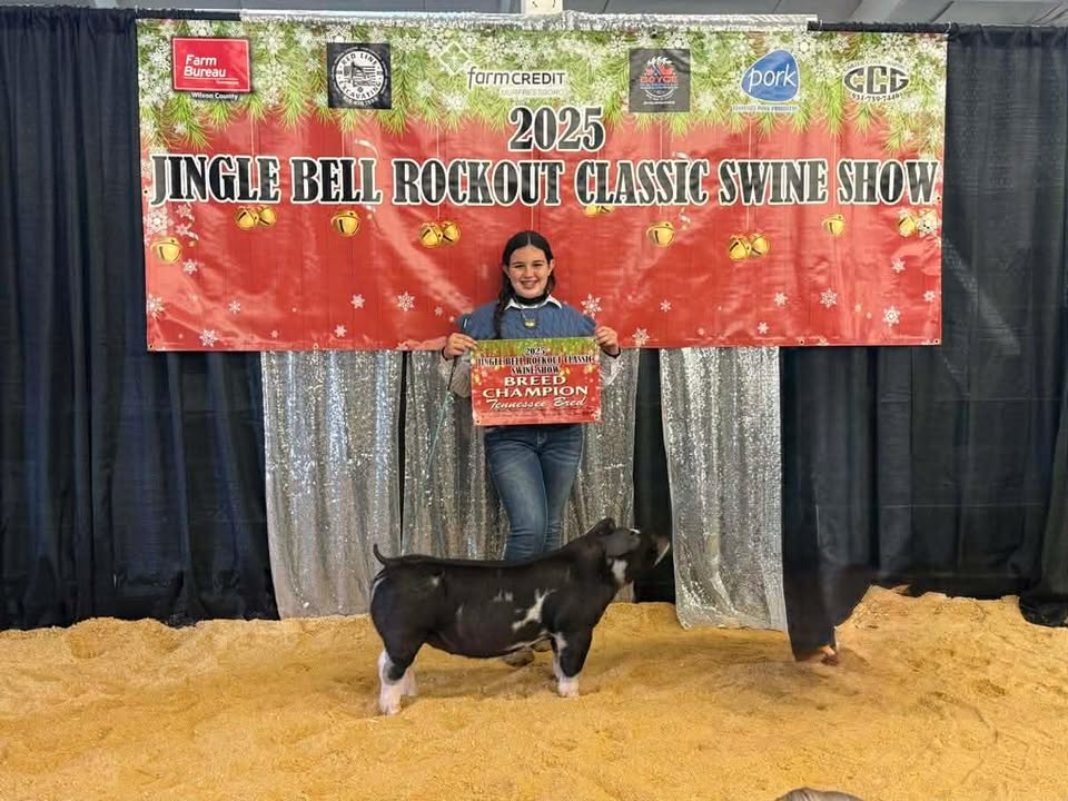 Kinley Porter
2025 Jingle Bell Rockout Classic
Champion Tennessee Bred
Spot Gilt