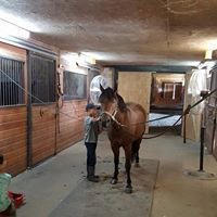 Cosmo and Matias: Grooming before and after riding is all part of the programs, here Positive Way Horsemanship.