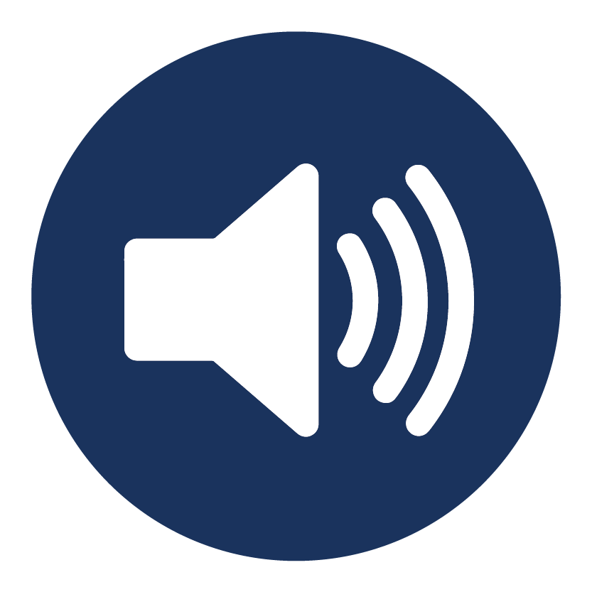 Flash icon