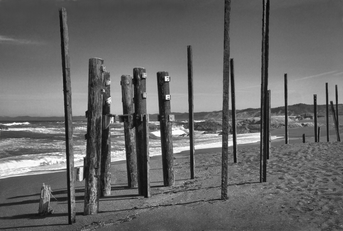 Fort Bragg Poles