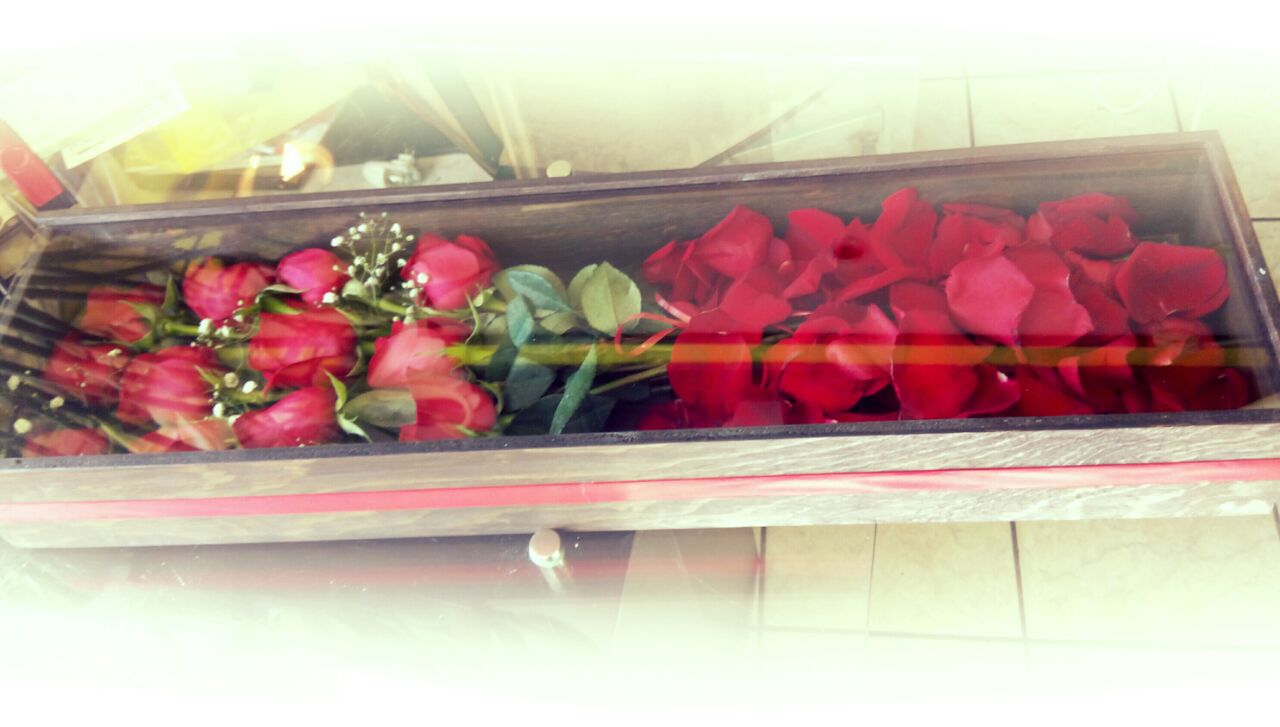 Caja de madera con vidrio con 12 rosas.
$ 350