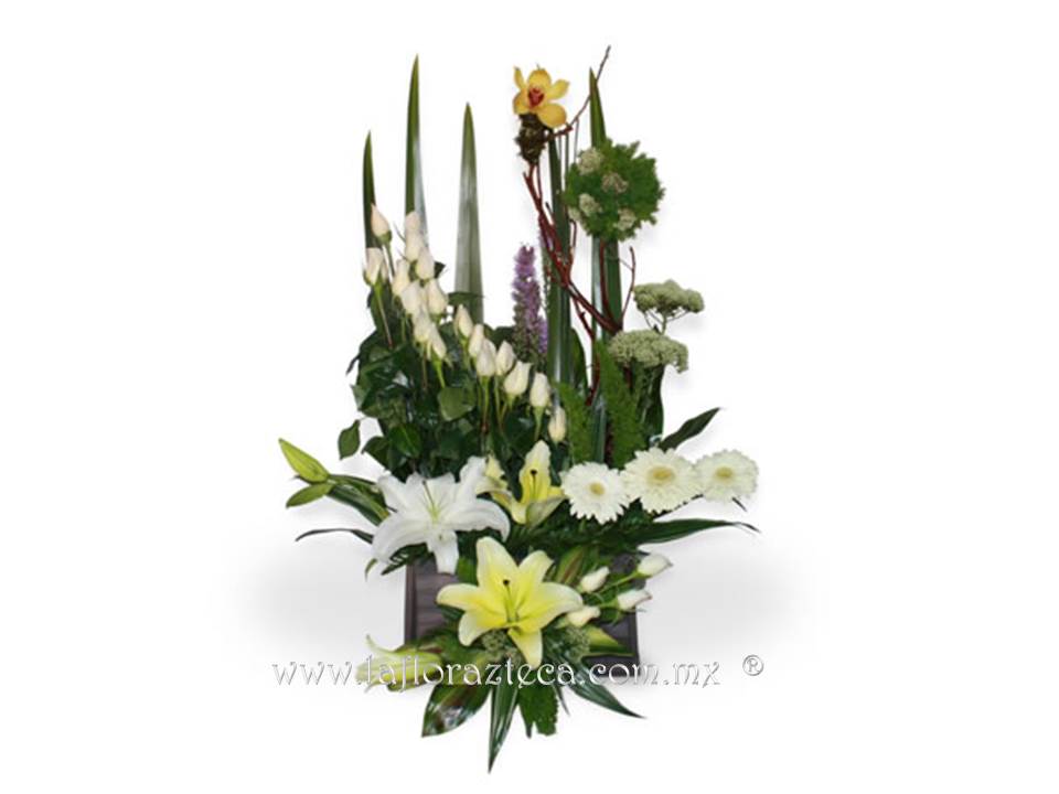 LFA-608
Precio $1,560