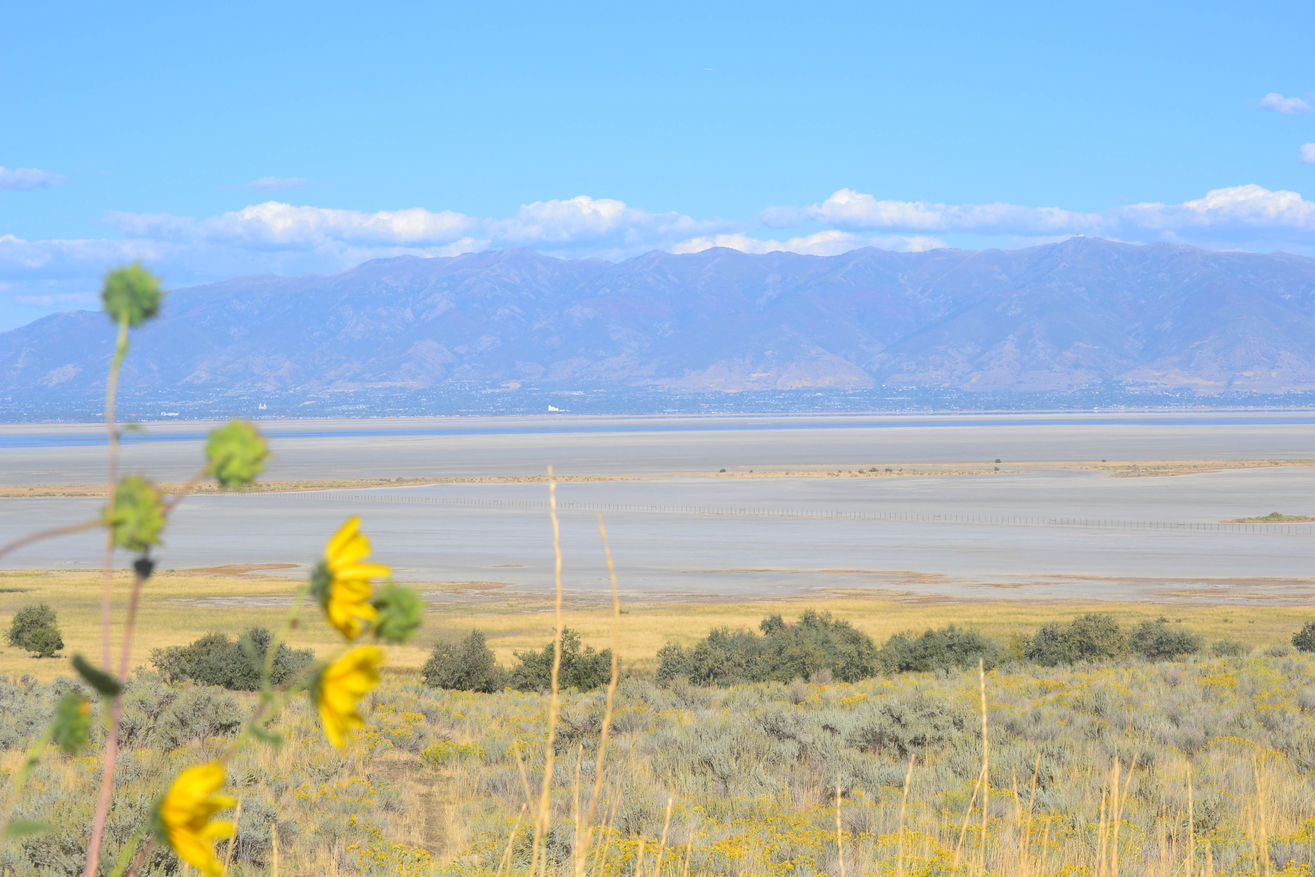 https://0201.nccdn.net/4_2/000/000/048/0a6/salt-lake-order-29.jpg