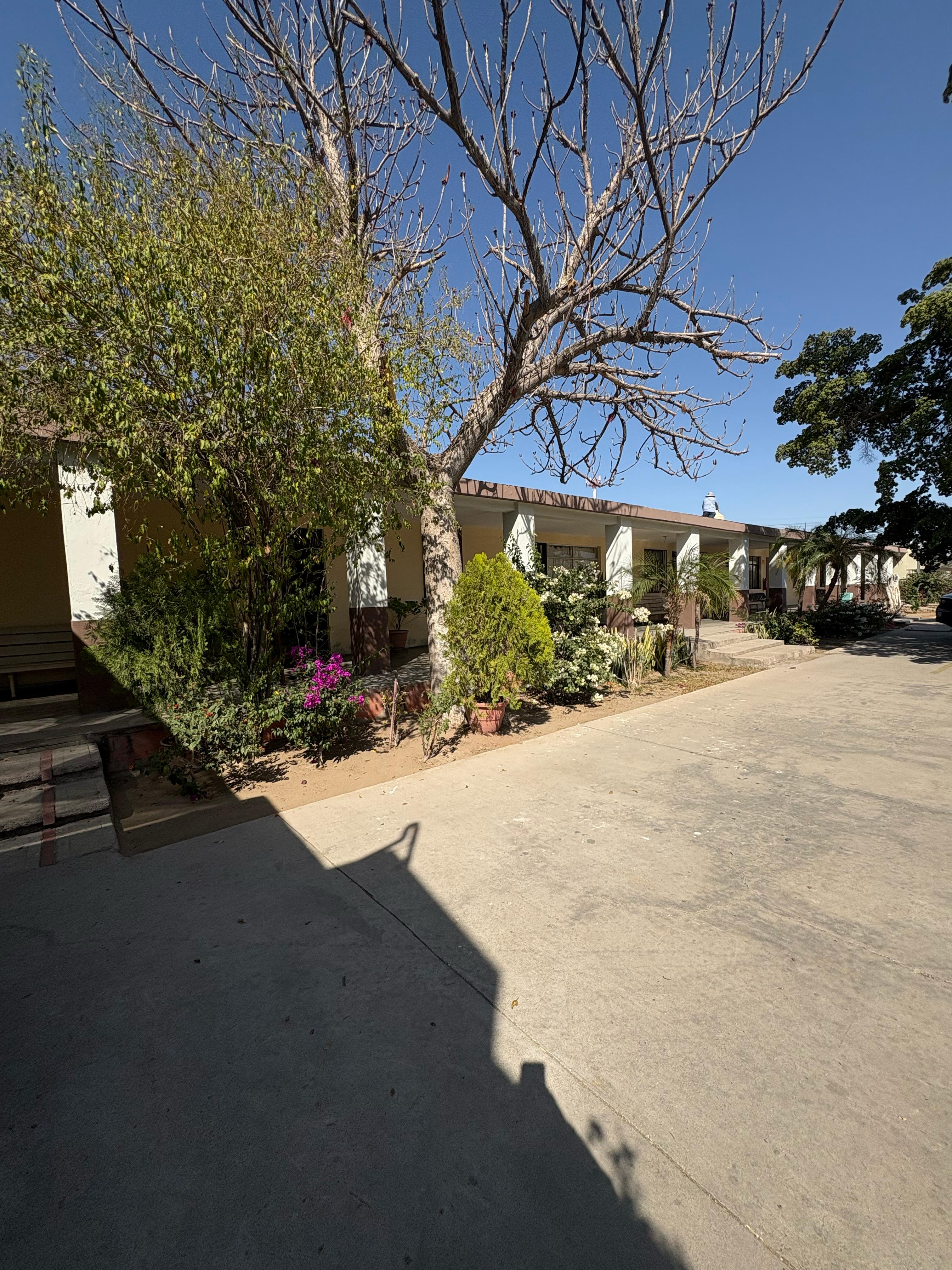 Sala de estar moderna con sofá beige, cojines marrones, mesa de centro de madera y plantas decorativas junto a una gran ventana con luz natural.